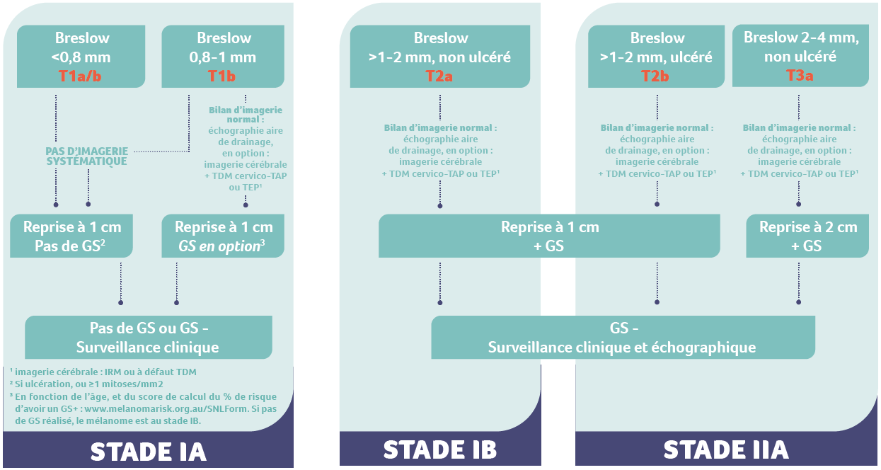 algorithme melanome stade 1-2