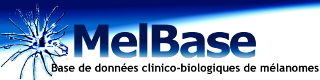 Logo MELBASE