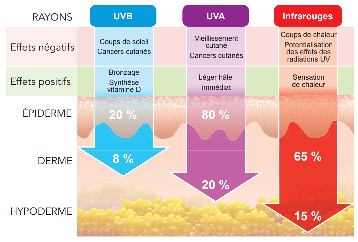 Prévention cancer de la peau : effets du soleil